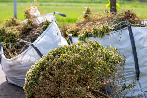 Best Full-Service Junk Removal  in Agua Dulce, CA