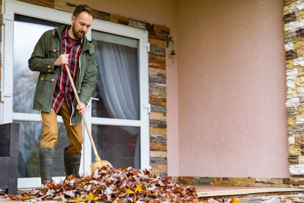 Yard Cleanup Services in Agua Dulce, CA